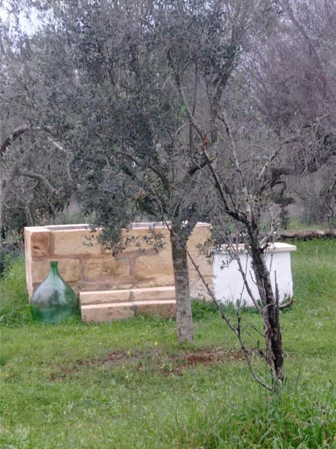 La Petraia Villa Magliano Exteriör bild
