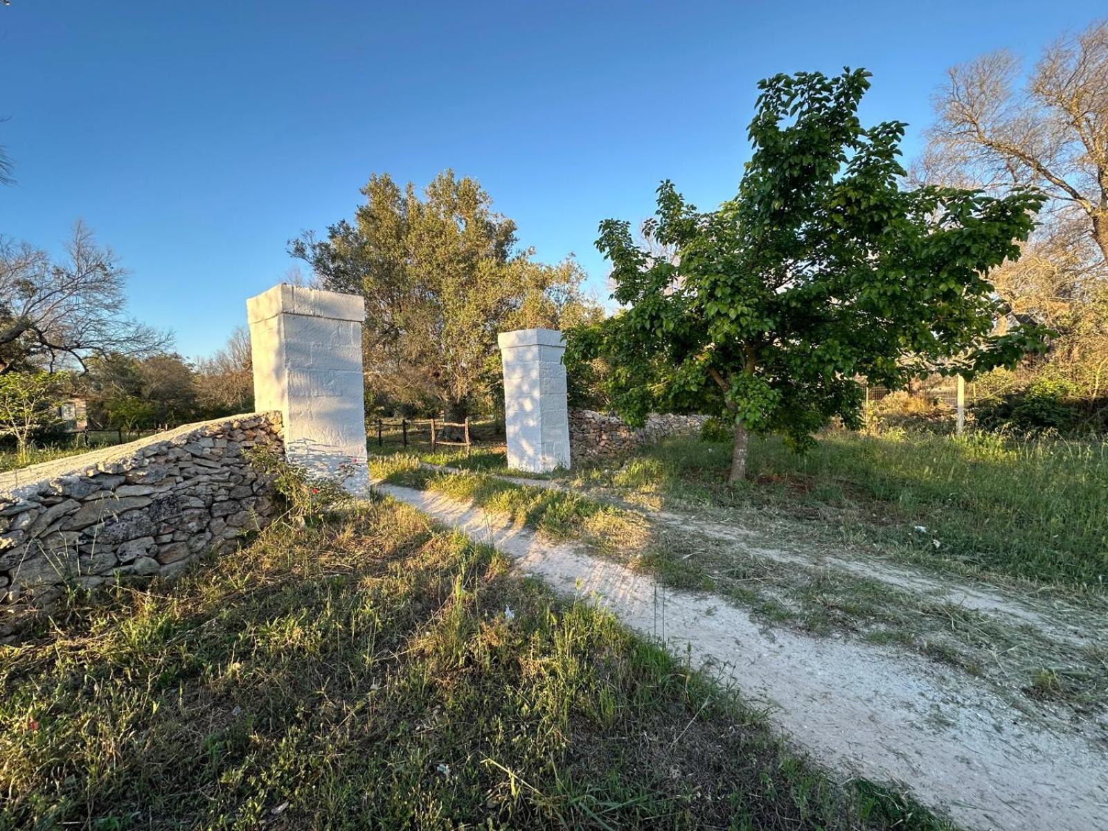 La Petraia Villa Magliano Exteriör bild