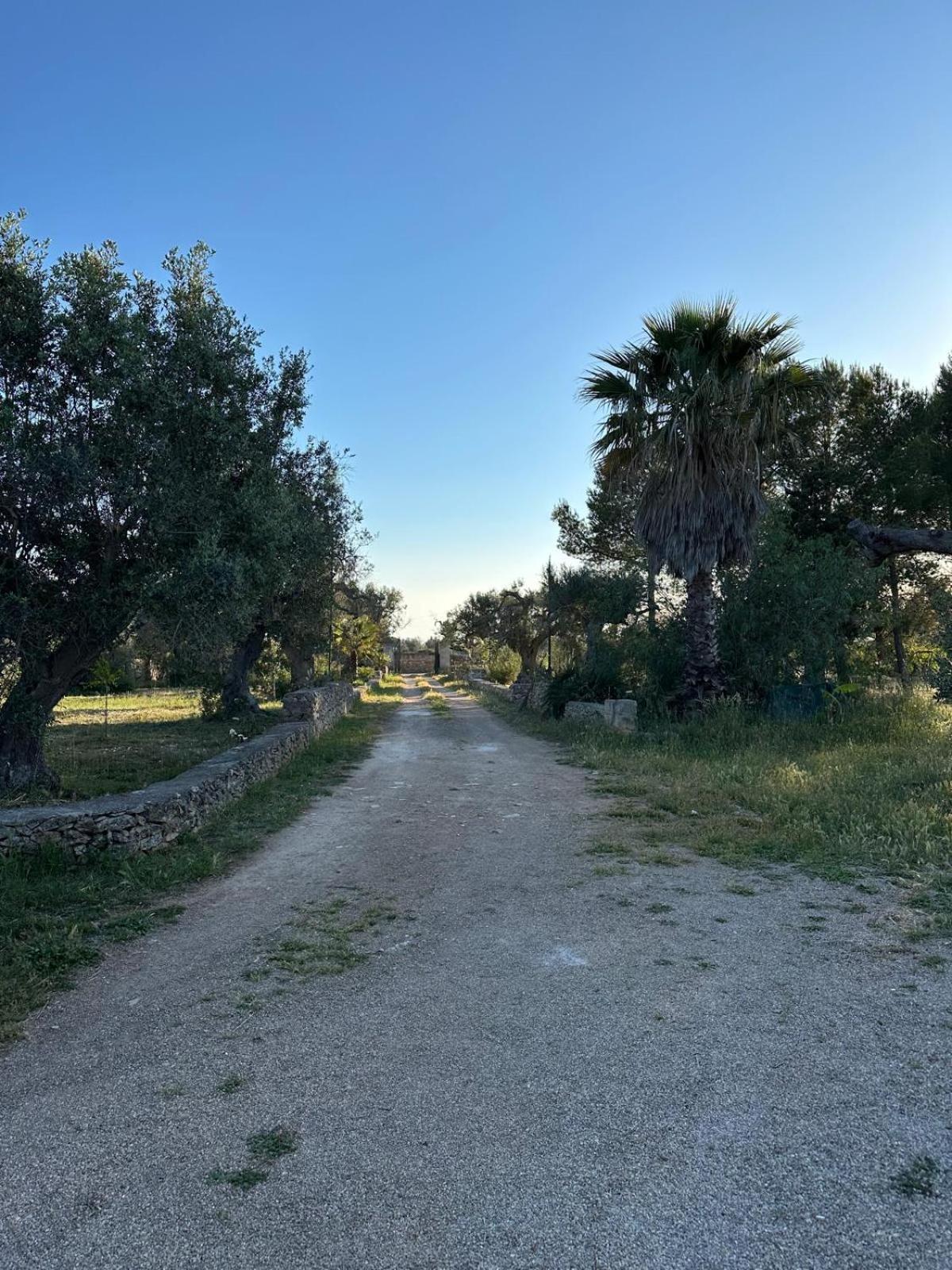 La Petraia Villa Magliano Exteriör bild